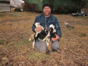 Jacque taking care of four goats ALL at once in  Kidding Season 2011